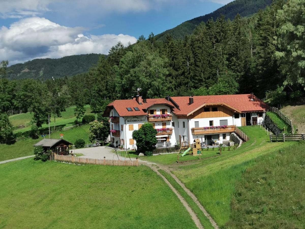 Rauchenbichlerhof Apartamento Brunico Exterior foto